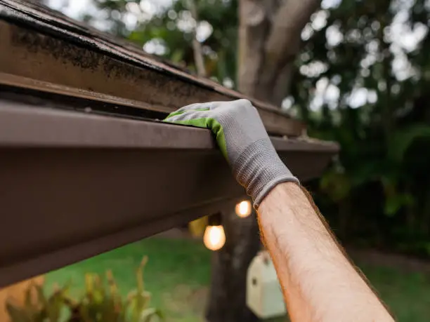 gutter service near me